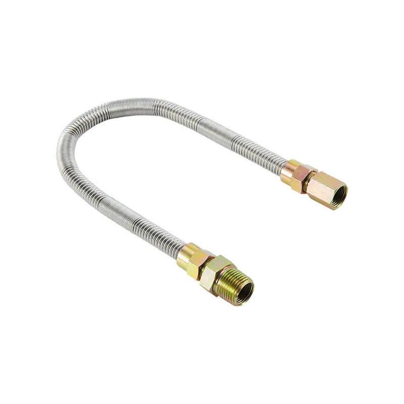DN10 roestvrijstalen fluitvrije gasconnector