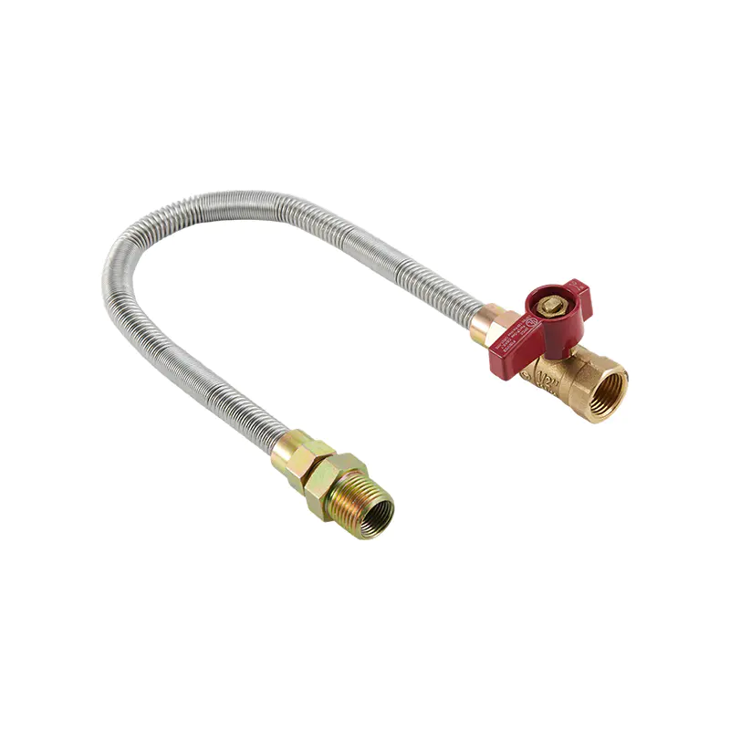DN12 roestvrijstalen fluitvrije gasconnector