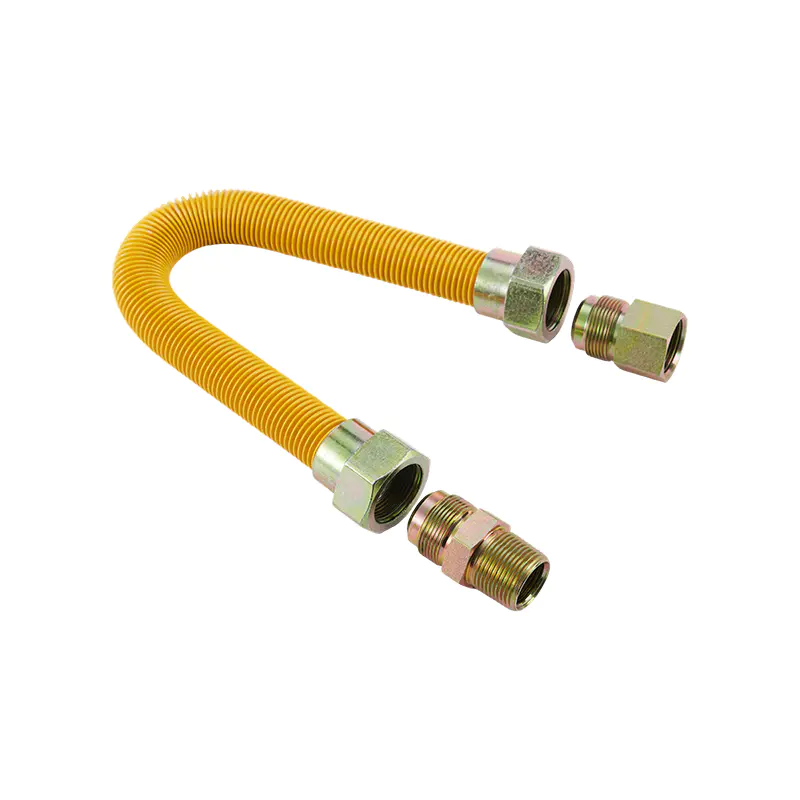 DN25 roestvrijstalen gasconnector